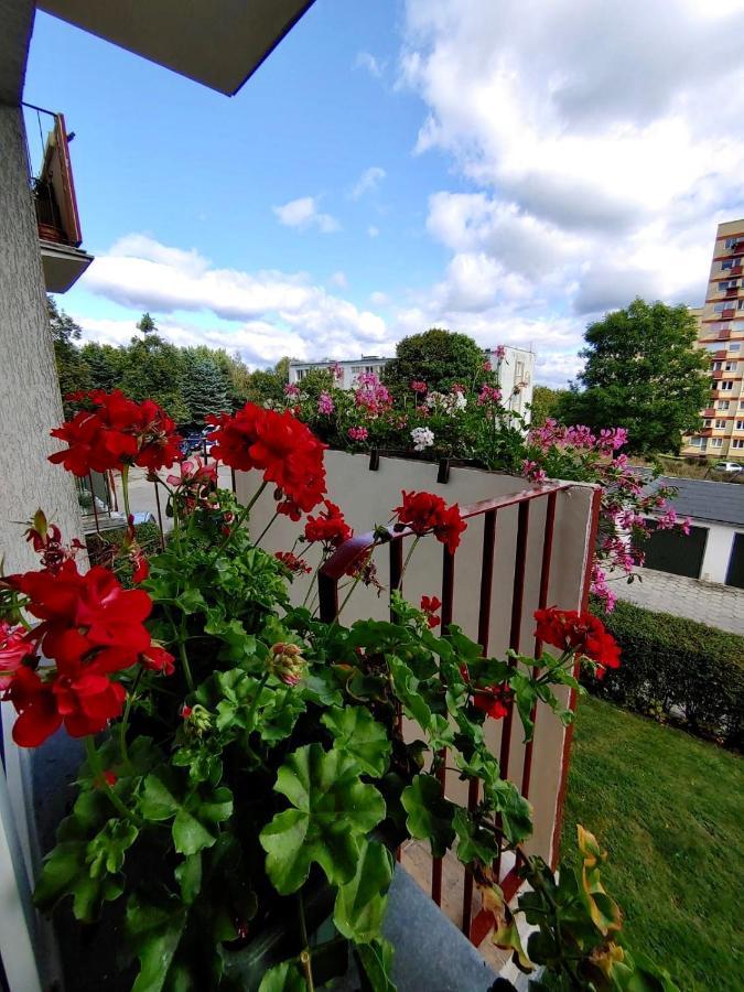 Ferienwohnung Loft House Sopot Apartament Exterior foto